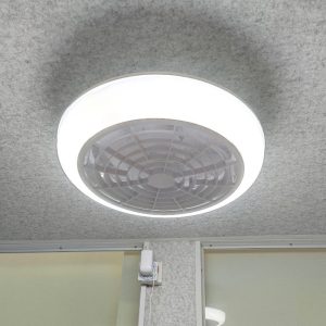 Hybrid fan